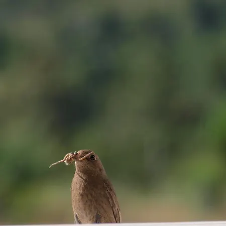 Ramajal Rural منزل ريفي