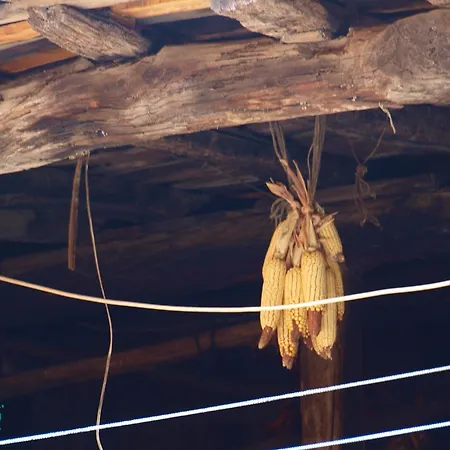 Ramajal Rural * Horcajo (Caceres)