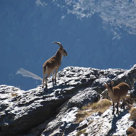 乡村民宿 Ramajal Rural