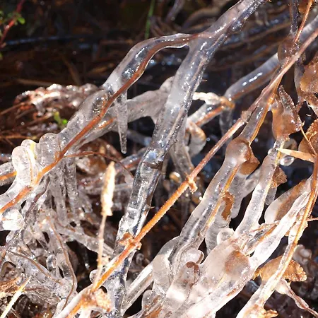 Ramajal Rural 乡村民宿 *