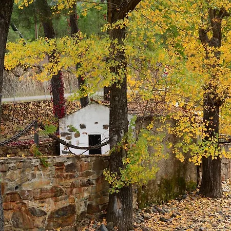 乡村民宿 Ramajal Rural *