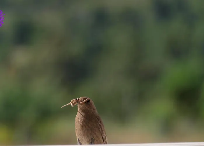 Ramajal Rural Casa rural