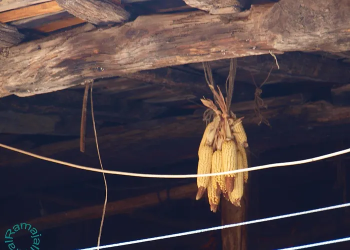 Ramajal Rural * Horcajo (Caceres)