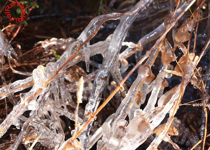 Ramajal Rural Casa rural *