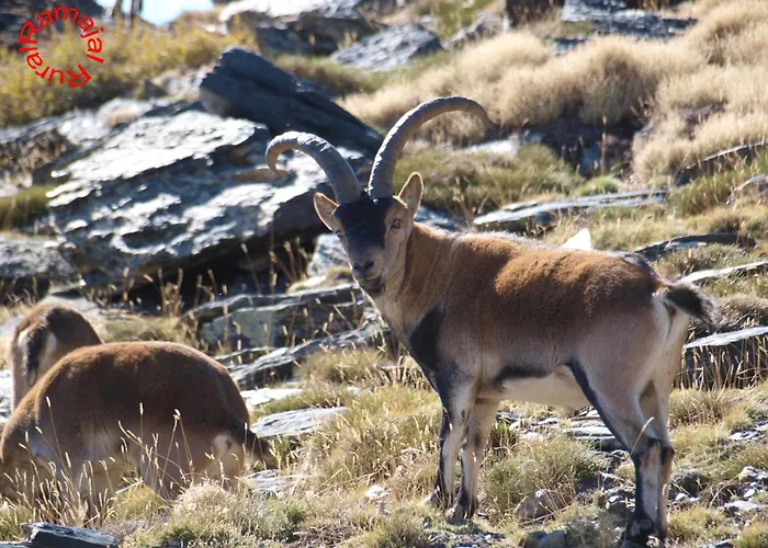 Εξοχικό σπίτι Ramajal Rural