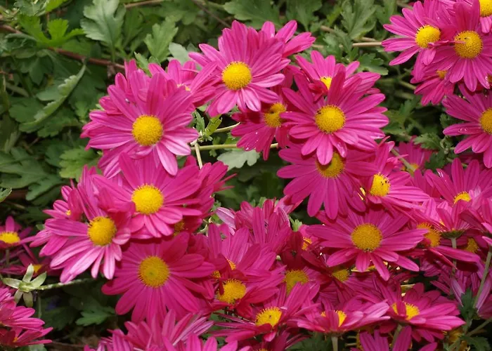 Casa rural Ramajal Rural *