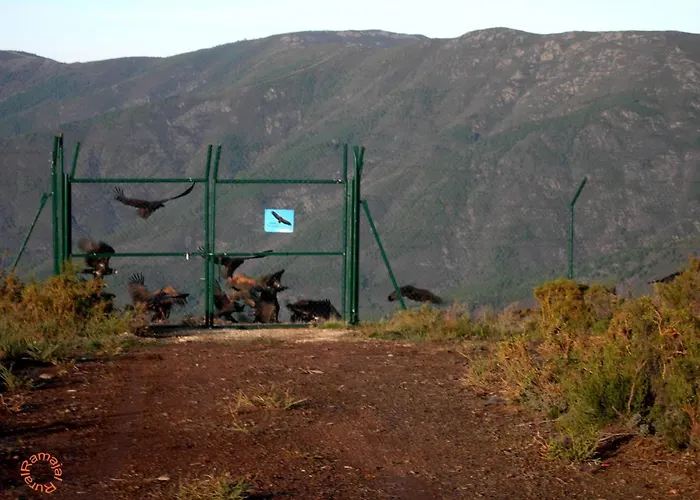 Εξοχικό σπίτι Ramajal Rural Horcajo (Caceres)